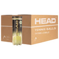 3B HEAD Tour XT Tennis Ball - 6 DZ